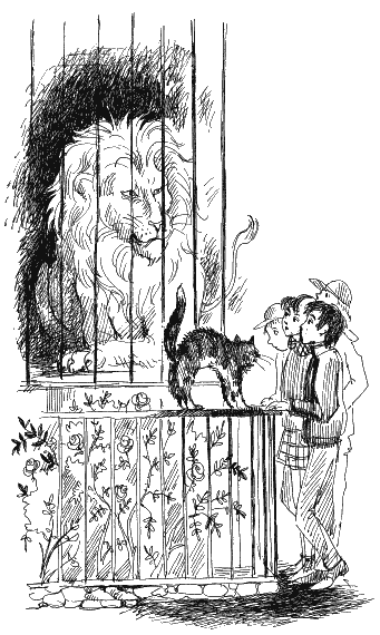 Иллюстрация к книге — Ученик волшебника [i_033.png]