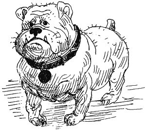 Иллюстрация к книге — Ученик волшебника [i_052.png]