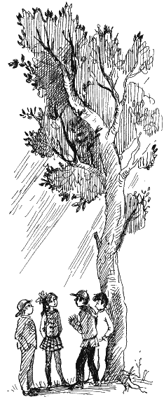 Иллюстрация к книге — Ученик волшебника [i_057.png]