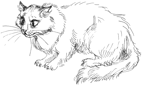 Иллюстрация к книге — Ученик волшебника [i_067.png]