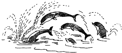 Иллюстрация к книге — Остров капитанов [i_023.png]