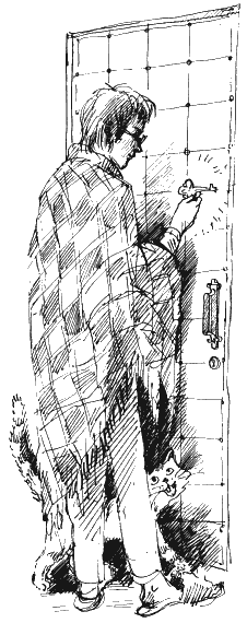 Иллюстрация к книге — Остров капитанов [i_033.png]