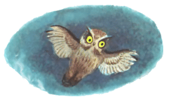 Иллюстрация к книге — Маленькая принцесса [i_016.png]