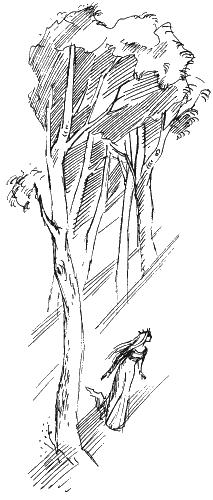 Иллюстрация к книге — Астрель и Хранитель Леса [i_047.png]