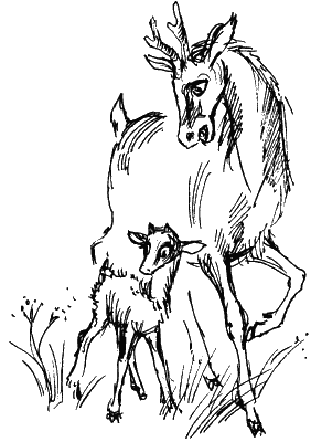 Иллюстрация к книге — Астрель и Хранитель Леса [i_056.png]