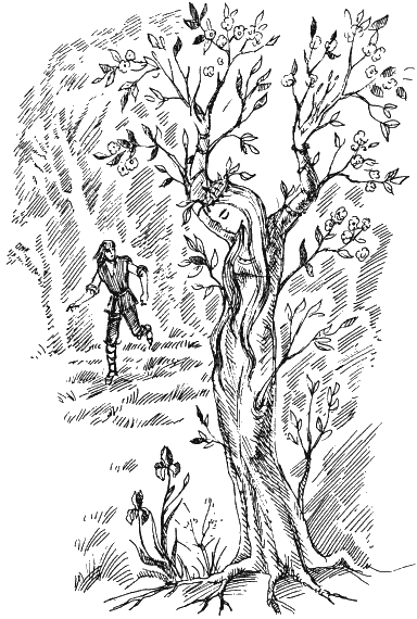 Иллюстрация к книге — Астрель и Хранитель Леса [i_074.png]