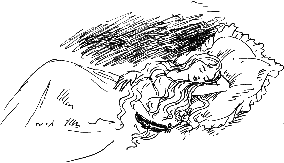 Иллюстрация к книге — Босая принцесса [i_005.png]