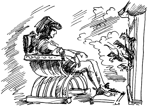 Иллюстрация к книге — Босая принцесса [i_017.png]