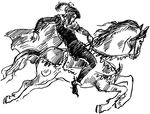 Иллюстрация к книге — Босая принцесса [i_037.png]