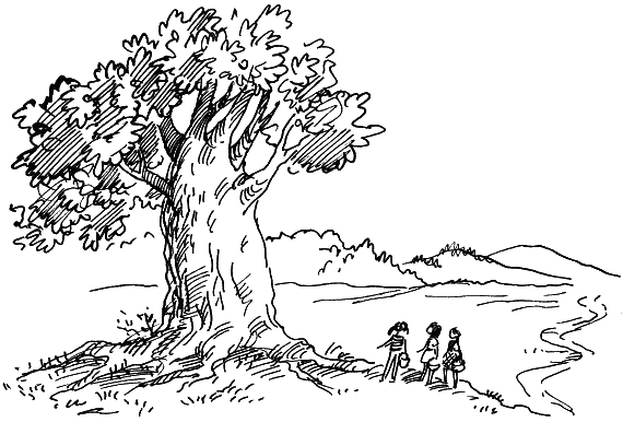 Иллюстрация к книге — Замок Черной Королевы [i_006.png]