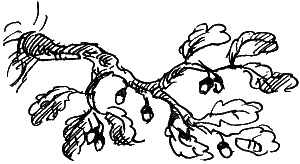 Иллюстрация к книге — Замок Черной Королевы [i_032.png]