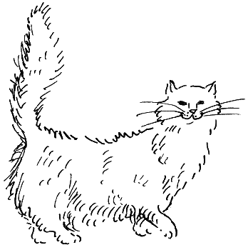 Иллюстрация к книге — Замок Черной Королевы [i_044.png]