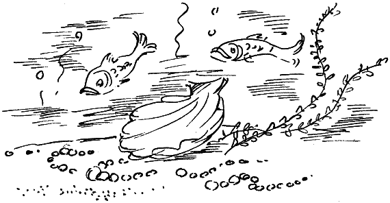 Иллюстрация к книге — Королевство Семи озер [i_009.png]