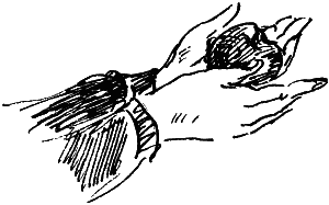 Иллюстрация к книге — Королевство Семи озер [i_030.png]