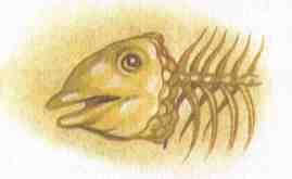 Иллюстрация к книге — Кот в сапогах ищет клад [i_005.jpg]