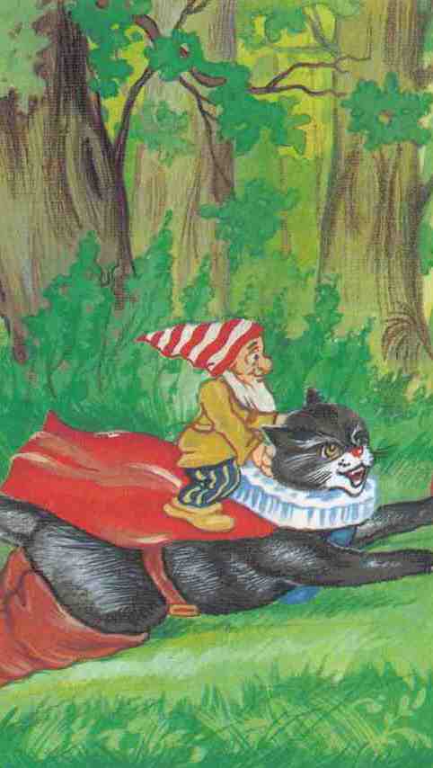 Иллюстрация к книге — Кот в сапогах ищет клад [i_020.jpg]