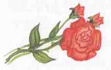 Иллюстрация к книге — Кот в сапогах ищет клад [i_025.jpg]