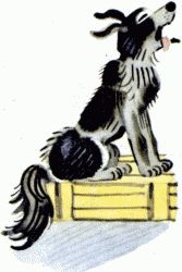 Иллюстрация к книге — Неизвестный с хвостом [_14.jpg]