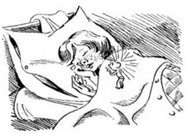 Иллюстрация к книге — Оставь окно открытым [i_003.jpg]