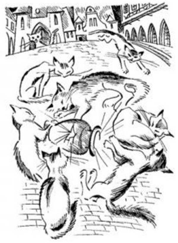 Иллюстрация к книге — Оставь окно открытым [i_005.jpg]