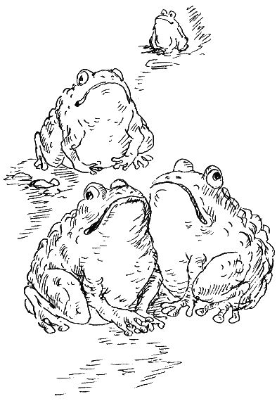 Иллюстрация к книге — Пока бьют часы [i_027.png]