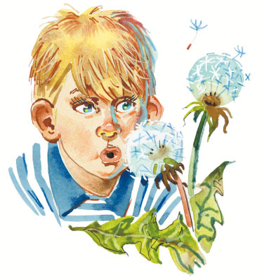 Иллюстрация к книге — Приключения жёлтого чемоданчика [i_036.jpg]