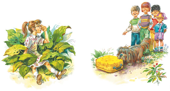 Иллюстрация к книге — Приключения жёлтого чемоданчика [i_056.jpg]