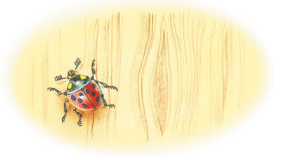 Иллюстрация к книге — Приключения жёлтого чемоданчика [i_061.jpg]