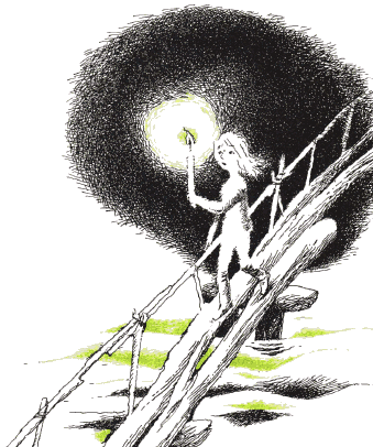 Иллюстрация к книге — Тайна железного дерева [i_003.png]