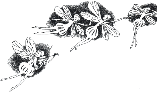 Иллюстрация к книге — Тайна железного дерева [i_015.png]