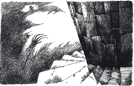 Иллюстрация к книге — Тайна железного дерева [i_020.png]