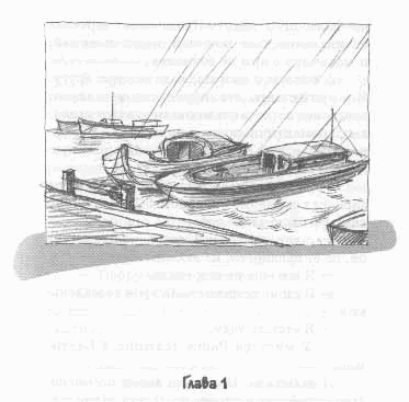 Иллюстрация к книге — Иакова Я возлюбил [any2fbimgloader0.png]