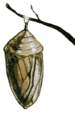 Иллюстрация к книге — Каменное сердце [i_020.png]