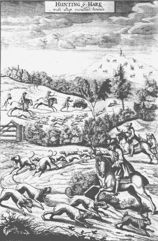 Иллюстрация к книге — Распутник [_14.png]