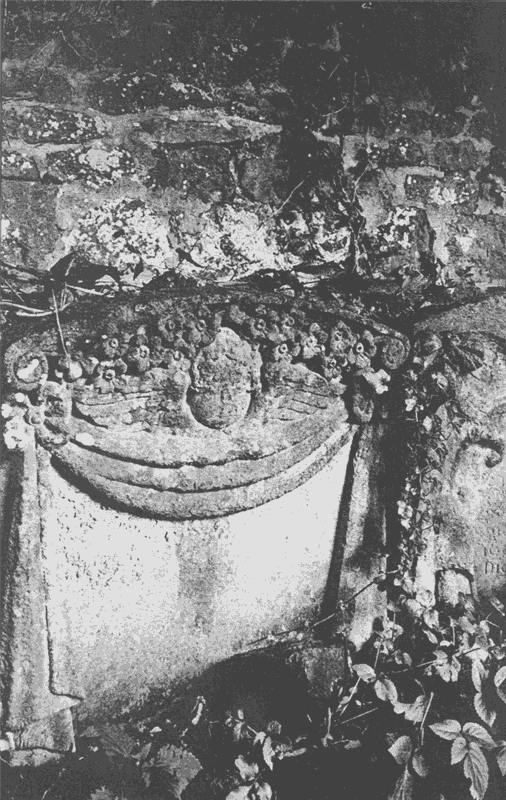 Иллюстрация к книге — Распутник [_16.png]