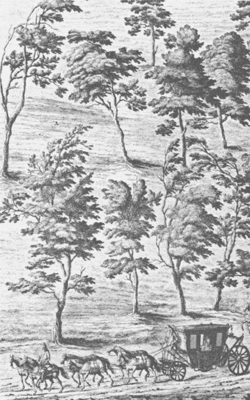 Иллюстрация к книге — Распутник [_3.png]