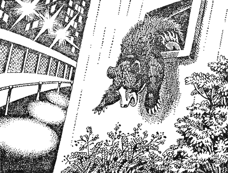 Иллюстрация к книге — Первые испытания [image07.png]