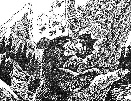 Иллюстрация к книге — Первые испытания [image09.png]