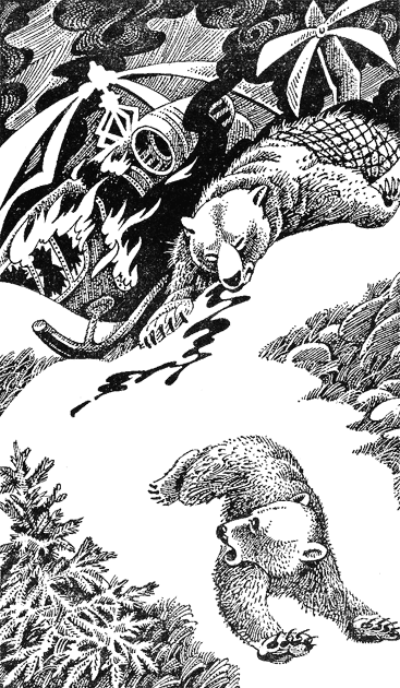 Иллюстрация к книге — Первые испытания [image11.png]