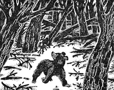 Иллюстрация к книге — Первые испытания [image12.png]