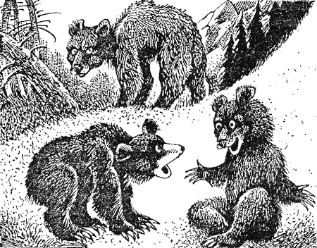 Иллюстрация к книге — Медвежье озеро [image02.png]