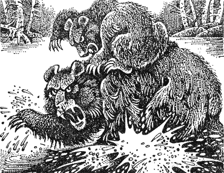 Иллюстрация к книге — Медвежье озеро [image11.png]