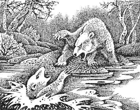 Иллюстрация к книге — Медвежье озеро [image13.png]