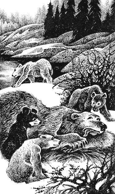 Иллюстрация к книге — Дымная гора [img03.png]