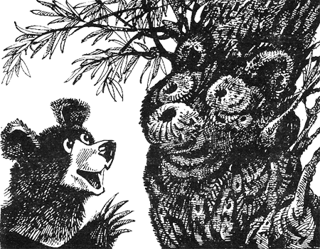 Иллюстрация к книге — Дымная гора [img04.png]