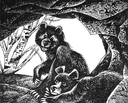 Иллюстрация к книге — Дымная гора [img08.png]