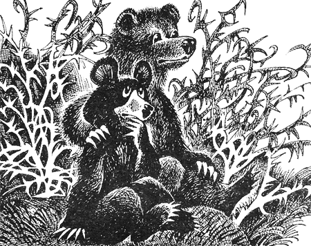 Иллюстрация к книге — Дымная гора [img10.png]