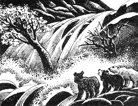 Иллюстрация к книге — Дымная гора [img13.png]