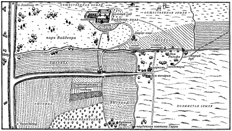 Иллюстрация к книге — Вайдекр, или Темная страсть [i_002.png]