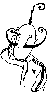 Иллюстрация к книге — Курт звереет [image61.png]